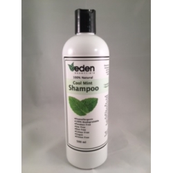 Eden Shampoo (Cool Mint) (500ml)